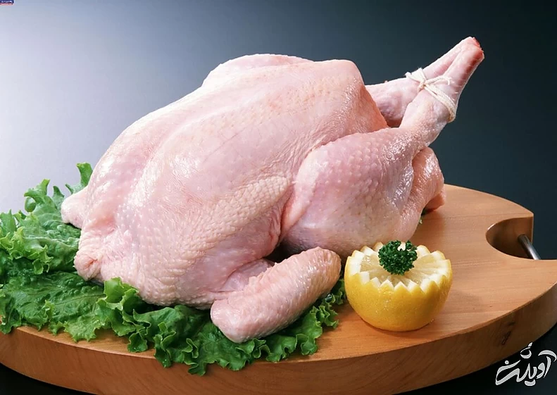 قیمت مرغ اصلاح میشود؟/ گرانی مرغ تا کی ادامه دارد؟